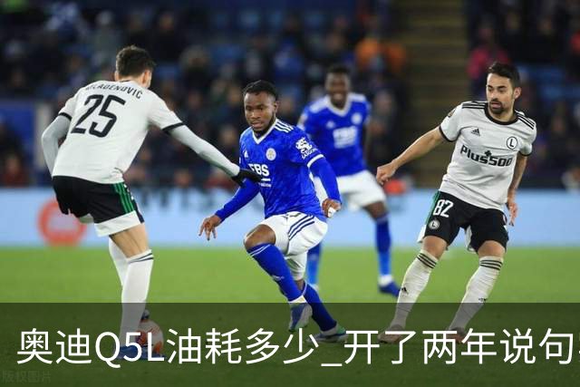 奥迪Q5L油耗多少 开了两年说句实话 家用到底香不香
