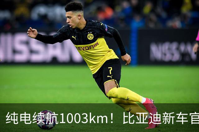 纯电续航1003km！比亚迪新车官宣，10月26日开启小订